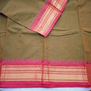 Henna Green with Pink Zari Border - Bharatanatyam Practice Saree